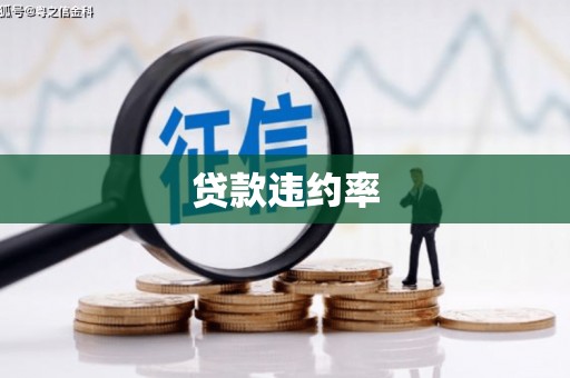 宾川贷款违约率