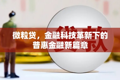 宾川微粒贷，金融科技革新下的普惠金融新篇章