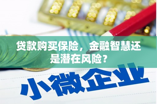 宾川贷款购买保险，金融智慧还是潜在风险？