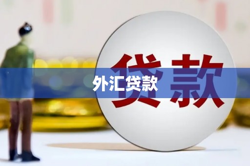 宾川外汇贷款