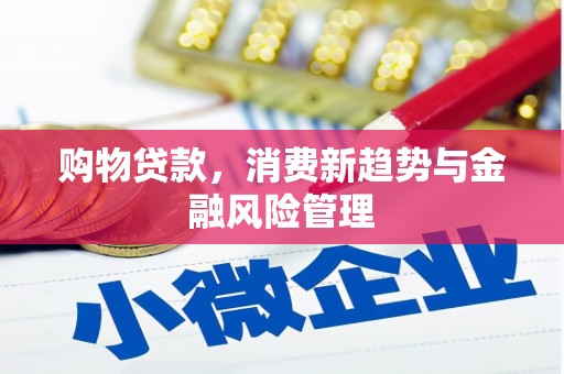 宾川购物贷款，消费新趋势与金融风险管理