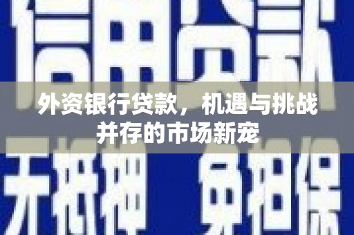 宾川外资银行贷款，机遇与挑战并存的市场新宠