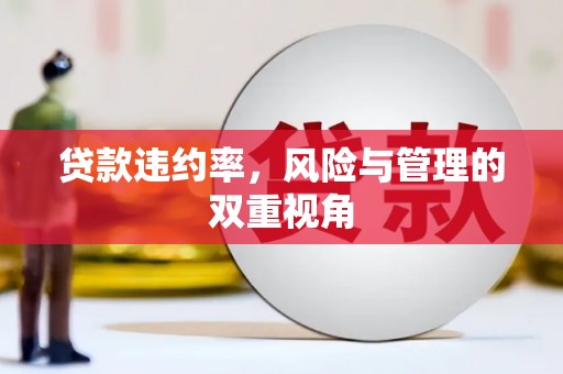 宾川贷款违约率，风险与管理的双重视角