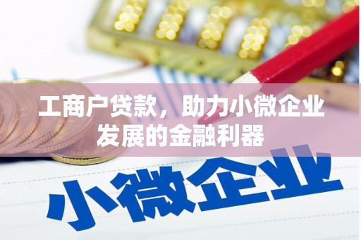 宾川工商户贷款，助力小微企业发展的金融利器