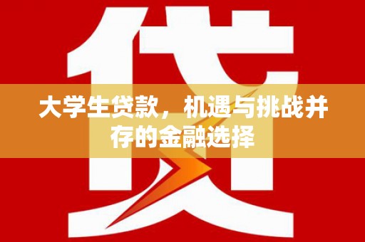 宾川大学生贷款，机遇与挑战并存的金融选择