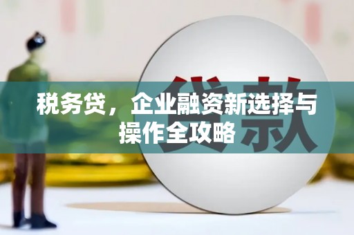 宾川税务贷，企业融资新选择与操作全攻略