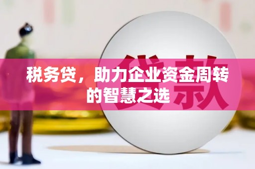 宾川税务贷，助力企业资金周转的智慧之选