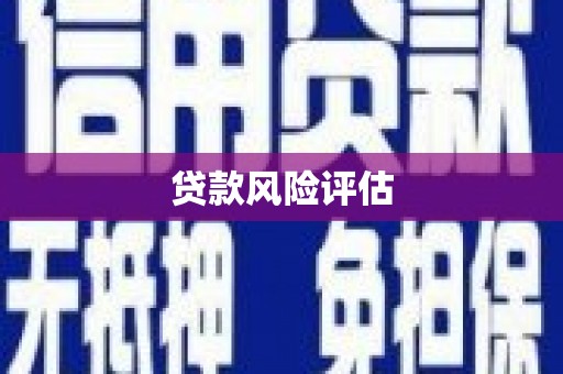 宾川贷款风险评估