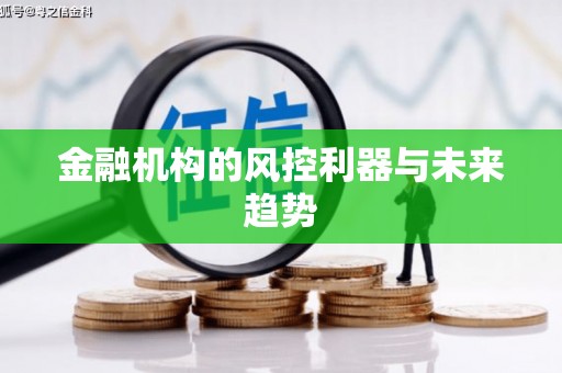 宾川金融机构的风控利器与未来趋势