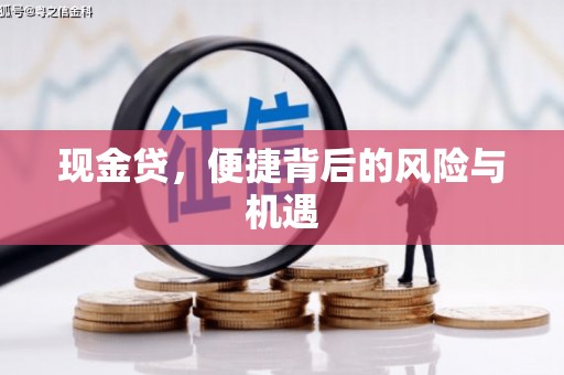 宾川现金贷，便捷背后的风险与机遇