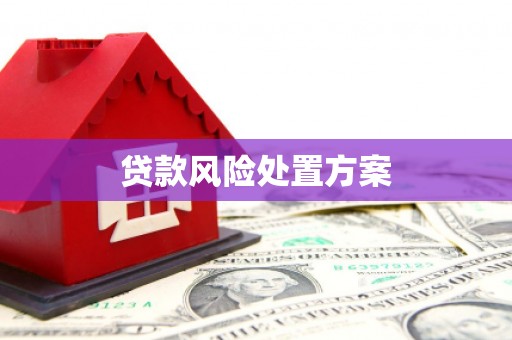 宾川贷款风险处置方案