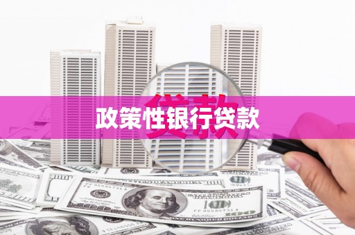 宾川政策性银行贷款