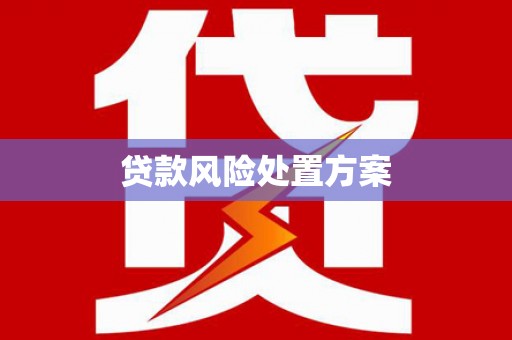宾川贷款风险处置方案