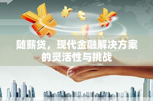 宾川随薪贷，现代金融解决方案的灵活性与挑战