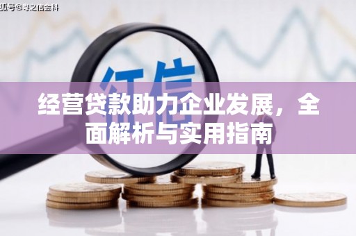 宾川经营贷款助力企业发展，全面解析与实用指南