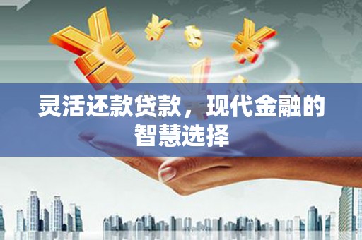 宾川灵活还款贷款，现代金融的智慧选择