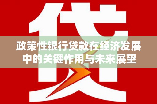 宾川政策性银行贷款在经济发展中的关键作用与未来展望
