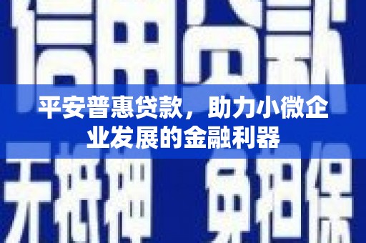 宾川平安普惠贷款，助力小微企业发展的金融利器