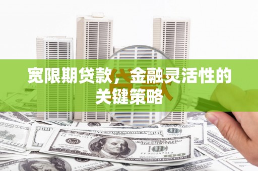 宾川宽限期贷款，金融灵活性的关键策略
