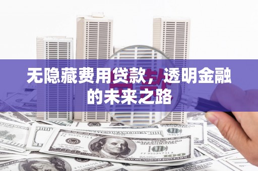 宾川无隐藏费用贷款，透明金融的未来之路