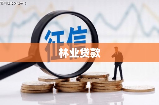 宾川林业贷款