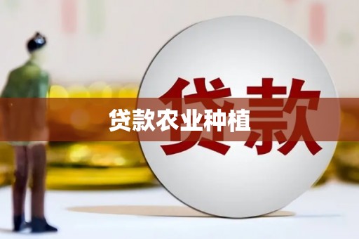 宾川贷款农业种植