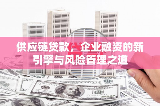 宾川供应链贷款，企业融资的新引擎与风险管理之道