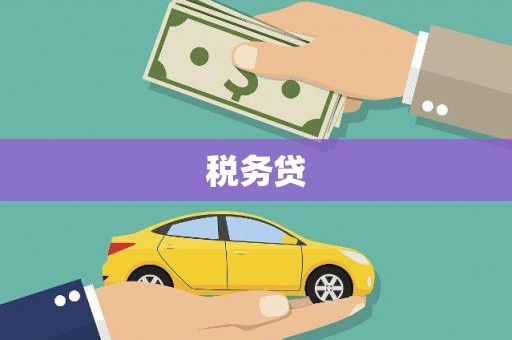 宾川税务贷