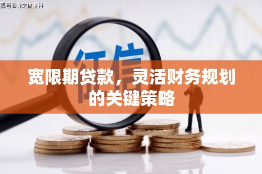宾川宽限期贷款，灵活财务规划的关键策略
