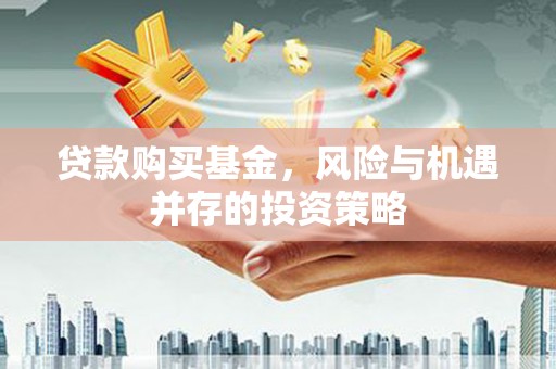 宾川贷款购买基金，风险与机遇并存的投资策略