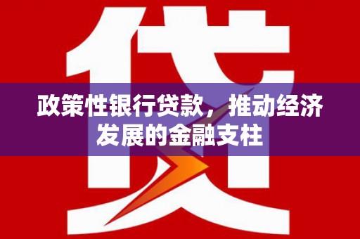 宾川政策性银行贷款，推动经济发展的金融支柱