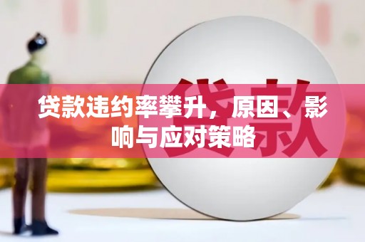 宾川贷款违约率攀升，原因、影响与应对策略