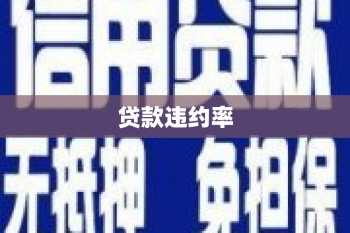 宾川贷款违约率