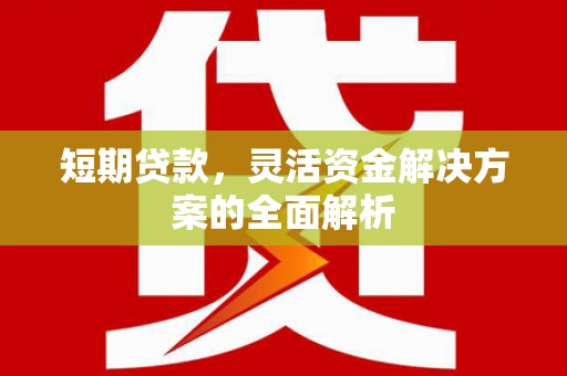 宾川短期贷款，灵活资金解决方案的全面解析