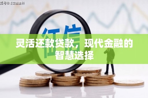 宾川灵活还款贷款，现代金融的智慧选择