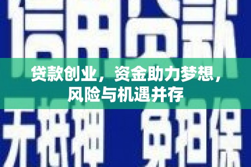 宾川贷款创业，资金助力梦想，风险与机遇并存