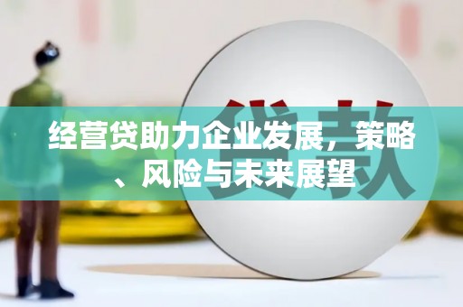 宾川经营贷助力企业发展，策略、风险与未来展望