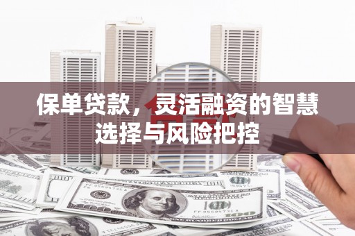 宾川保单贷款，灵活融资的智慧选择与风险把控