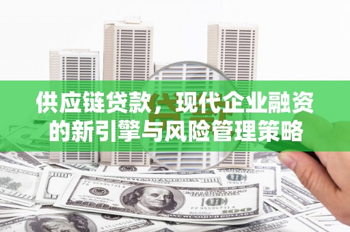 宾川供应链贷款，现代企业融资的新引擎与风险管理策略