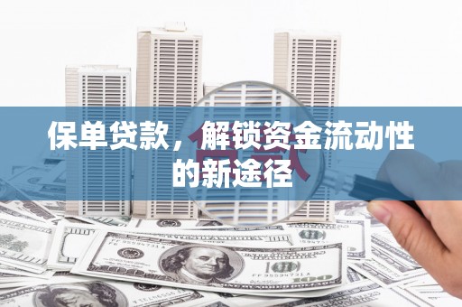 宾川保单贷款，解锁资金流动性的新途径