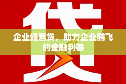 宾川企业经营贷，助力企业腾飞的金融利器
