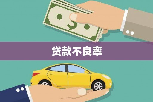 宾川贷款不良率