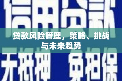 宾川贷款风险管理，策略、挑战与未来趋势