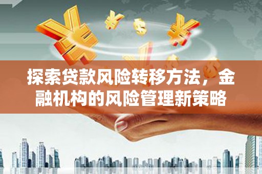 宾川探索贷款风险转移方法，金融机构的风险管理新策略