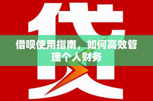 宾川借呗使用指南，如何高效管理个人财务