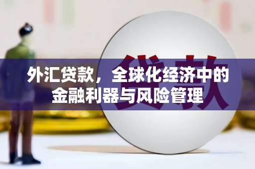 宾川外汇贷款，全球化经济中的金融利器与风险管理