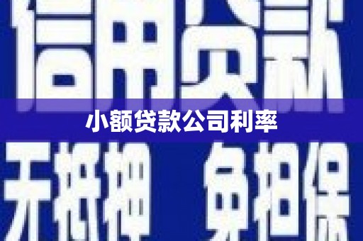 宾川小额贷款公司利率