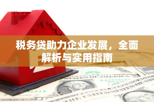 宾川税务贷助力企业发展，全面解析与实用指南