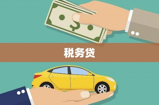 宾川税务贷
