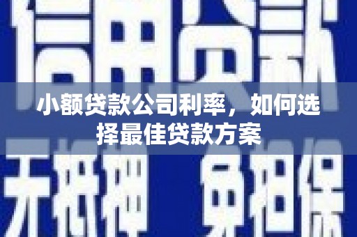 宾川小额贷款公司利率，如何选择最佳贷款方案